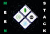 develop mern stack app