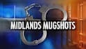 remove articles links,mugshots,negative links,court case,arrest record in google
