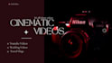 do professional cinematic video editing within 24 hours