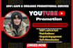 do organic youtube video promotion