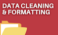 professional data formatting and cleaning services