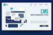 do web development both back end and front end