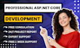 build asp net mvc ,asp net core professional web application