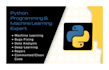do your python projects