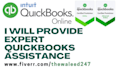 provide expert quickbooks assistance
