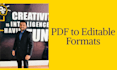 pdf to word, handwriting to word, pdf to excel, data entry, typing, convert file