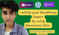 wordpress website desgin, redesign by elementor or divi