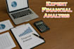 provide expert financial analysis and accounting services