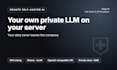 set up a private self hosted llm on your own server with your data