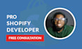 build a shopify dropshipping store or ecommerce website