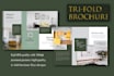 create corporate brochure trifold leaflet catalog design