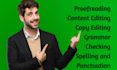 proofread, edit, grammatical check and rewrite your content