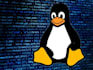 expert linux system administration services