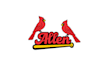 high school baseball team logo