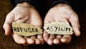 write asylum reports, vawa, waivers, and u visa reports