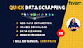 do manual data scraping from multiple sources to excel