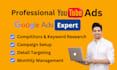 setup and manage youtube ads campaign, video ads campaign via google ads expert