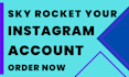 do super fast organic instagram growth