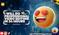 edit your youtube ,vlogs and other platform video professionaly