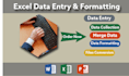 do excel data entry, form filling, data cleanup, formatting and merging