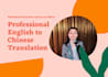 provide professional english to chinese translation
