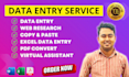 provide data entry, copy paste, excel data entry tasks