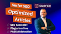 write SEO optimized articles that rank high on google