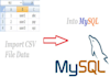import csv data into mysql database