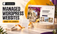 manage your wordpress website development from brief to launch