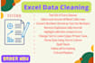 fast microsoft excel data cleaning,spreedsheet,expertediting