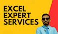 provide expert excel services and data analysis