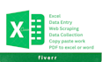 do web scraping and data entry on ms excel