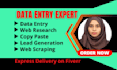 do any kind of data entry, lead generation and web research for you