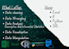 do statistical data analysis with excel r python or sql