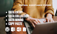 data entry, excel, web research and ecommerce data entry