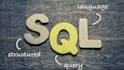 be your sql developer