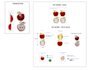 complete your jewelry cads and techpack
