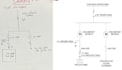 do electrical or any cad drafting from pdf, images or sketch