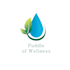 design exquisitely helpful puddle wellness logo