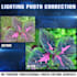 do professional high end photo lighting correction