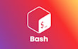 create efficient and customized bash scripts for linux and unix environments