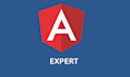 develop frontend web application using angular
