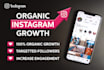 do instagram marketing and fast organic growth