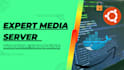 do expert media server configuration and troubleshooting