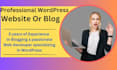 create a professional wordpress blog or landing page