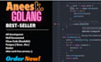 develop rest api server , web app and projects in golang