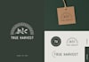 design a professional typography or minimalistic highly business logo