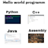 help in java, python, cpp, programming and sql assembly projects