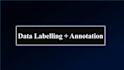 do fast and accurate data labeling and annotation