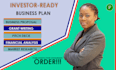 develop a detailed investor ready business plan
